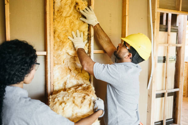 Best Cellulose Insulation  in Falling Waters, WV