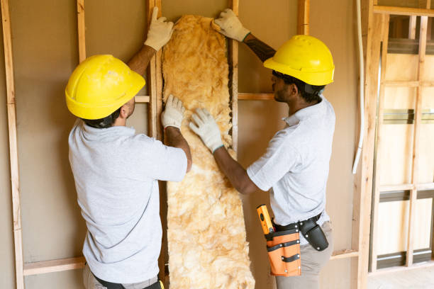 Best Insulation for New Construction  in Falling Waters, WV